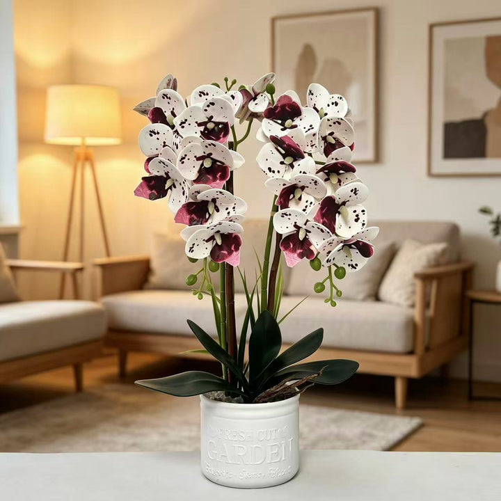 Dekorative Topfpflanzen-Orchideen-Anordnung für Tischdeko