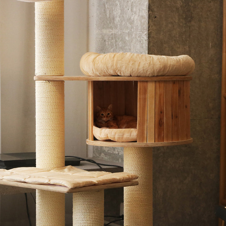 Gemütlicher Katzenbaum mit mehreren Ebenen Karnz