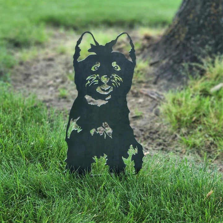 Cairn Terrier | Karnz