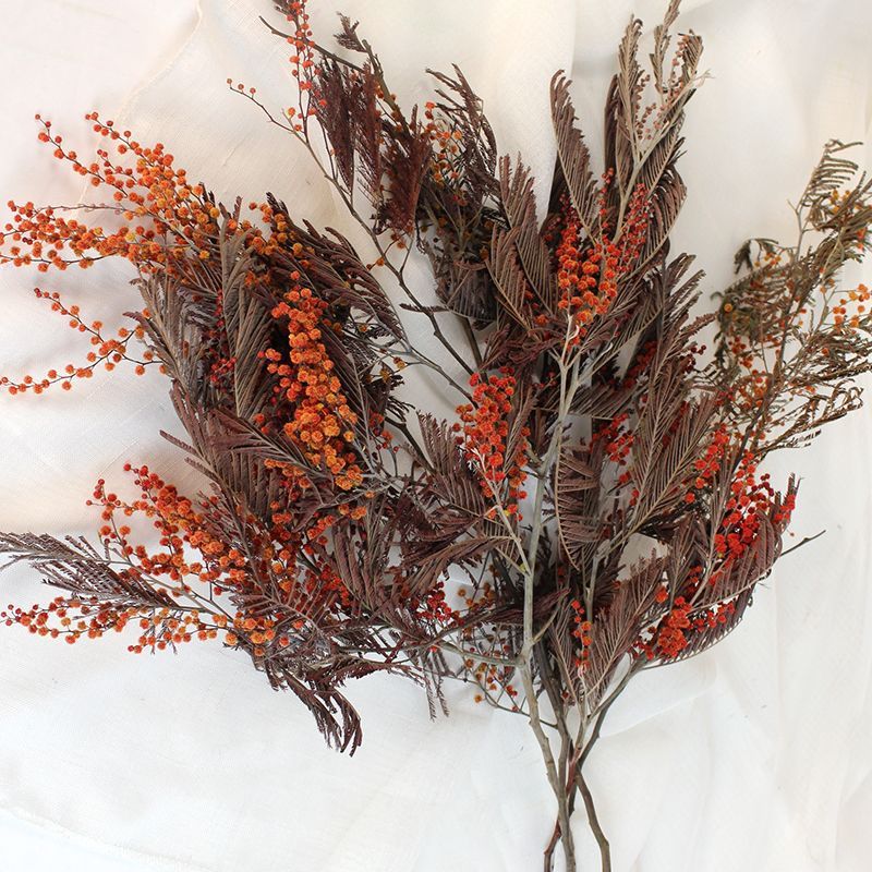 Natürliche Trockenblumenarrangement