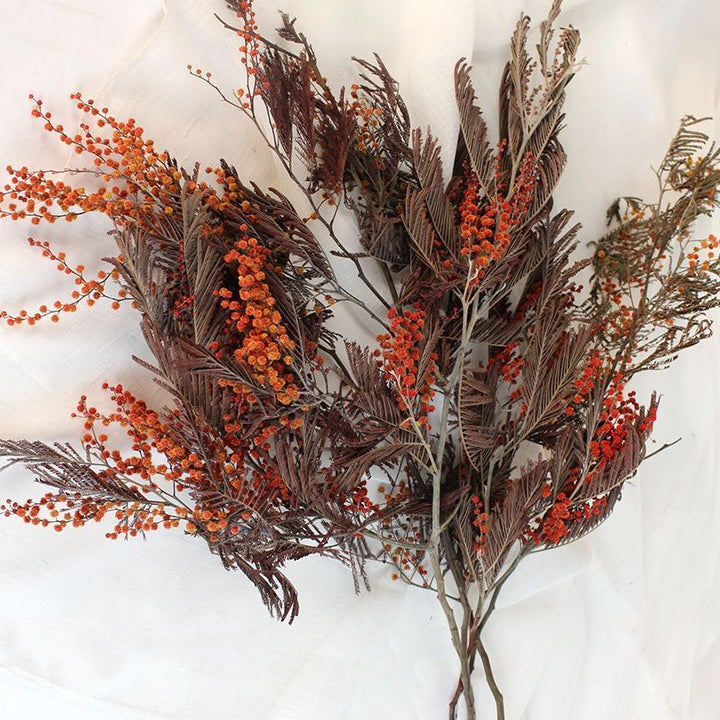 Natürliche Trockenblumenarrangement