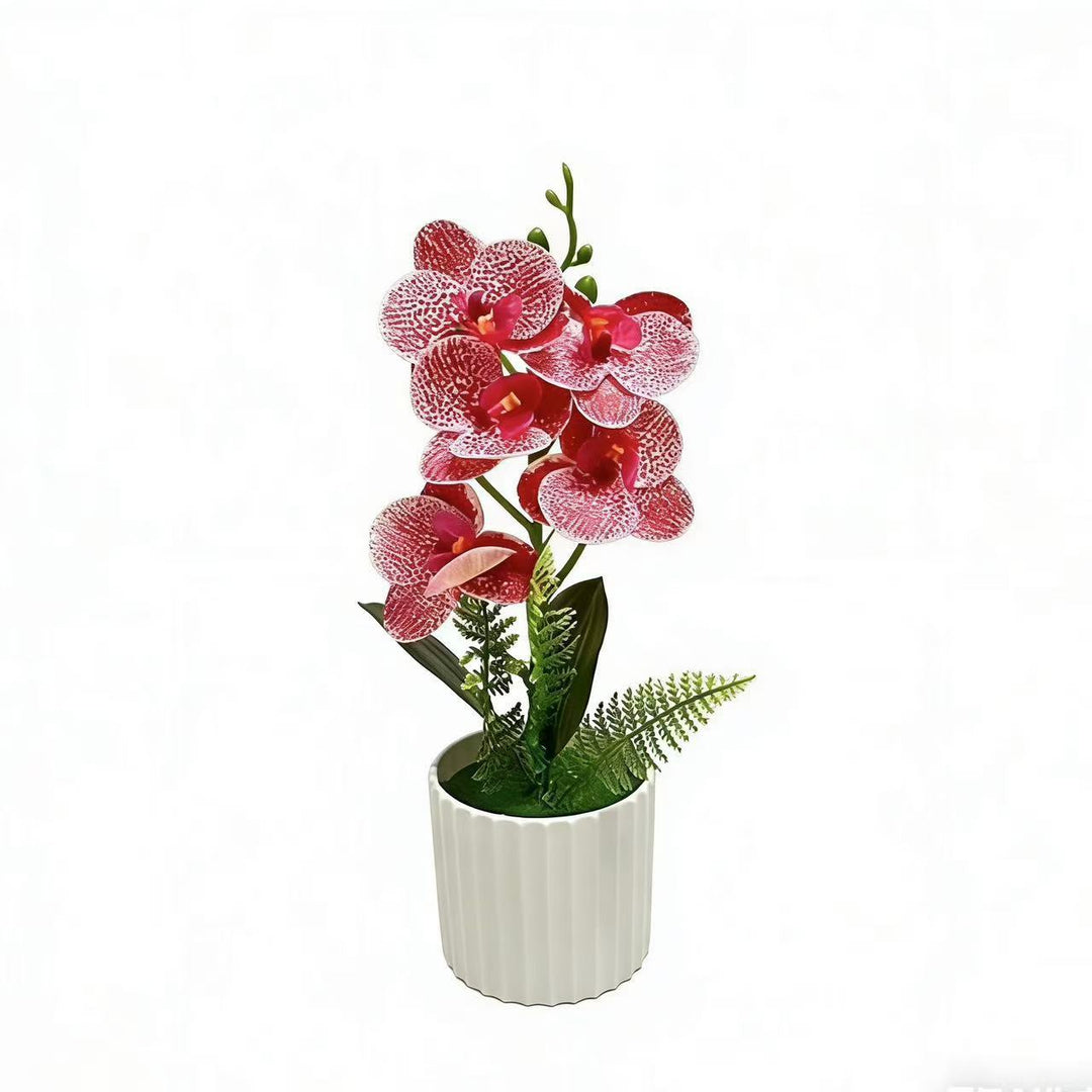 Dekorative Orchideenpflanzenanordnung 1790480742 für Dekoration