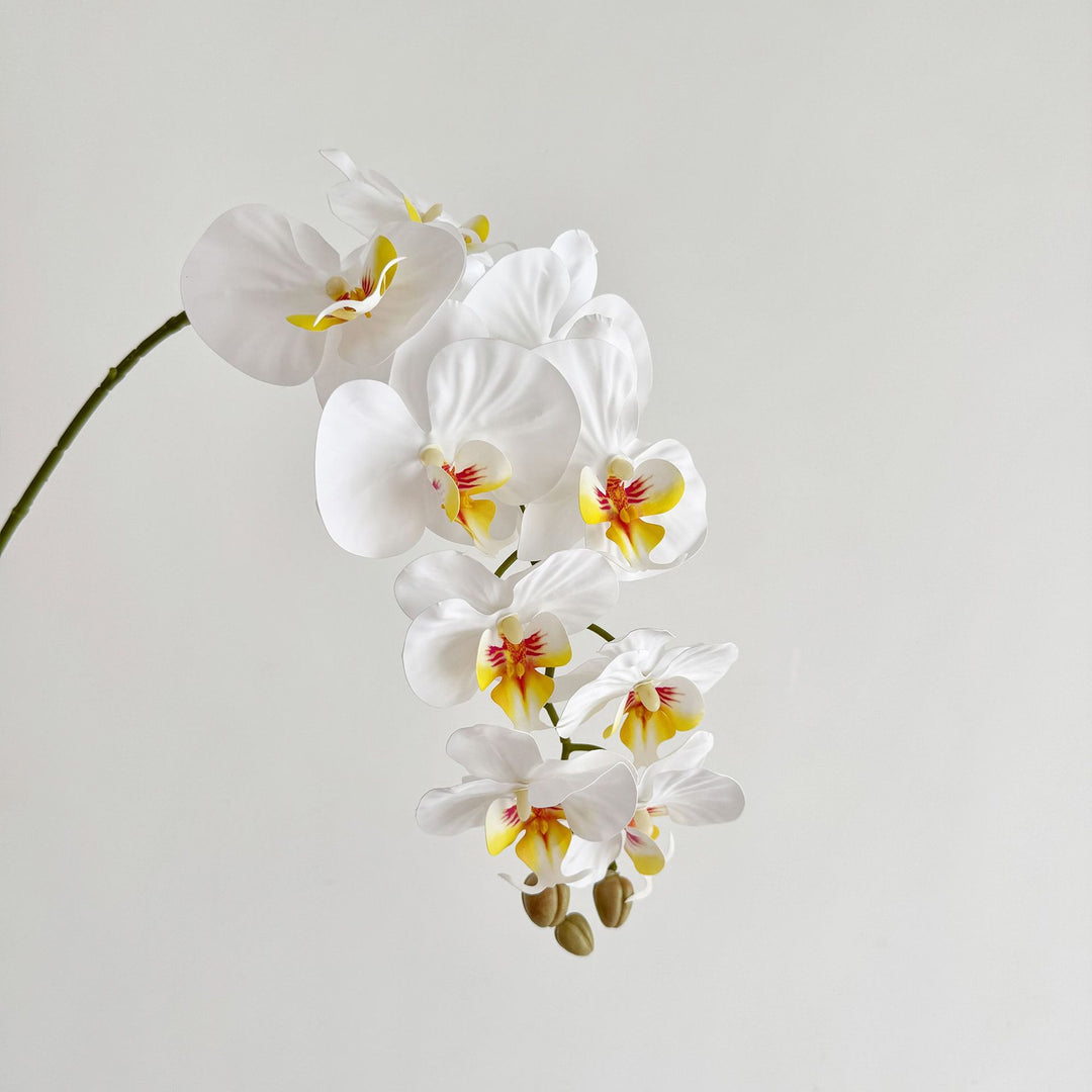 Lebensechte künstliche Orchideenarrangement