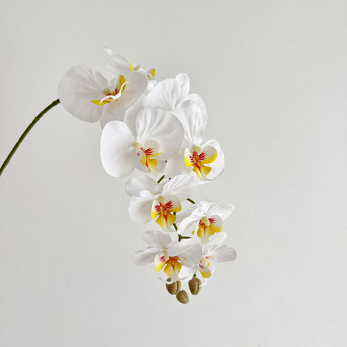 Lebensechte künstliche Orchideenarrangement