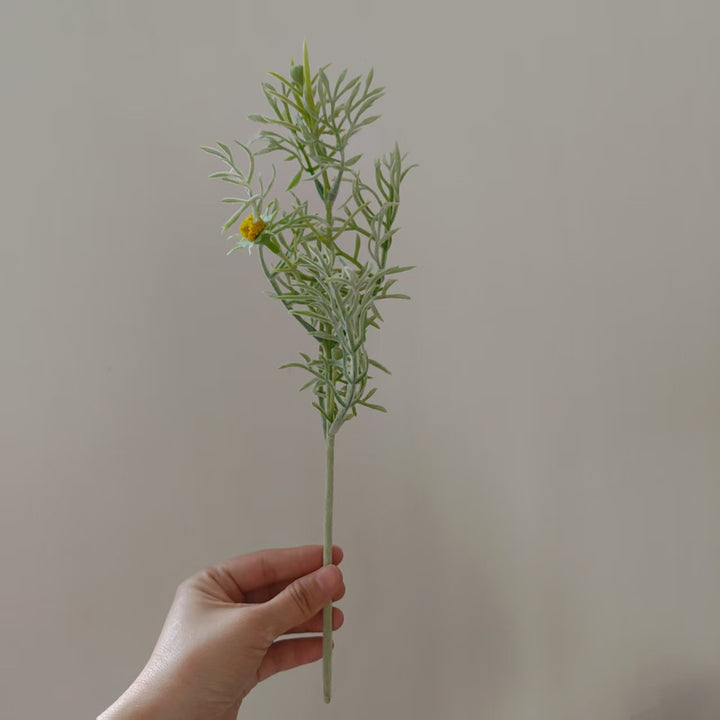Elegante Dekorative Wildblumenstiel