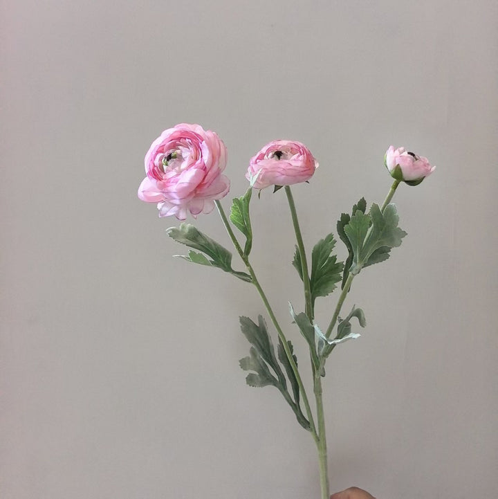 Realistische Ranunkel Blumenschaft