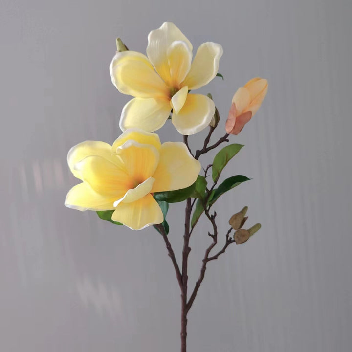 Realistische Magnolienblüte Stamm