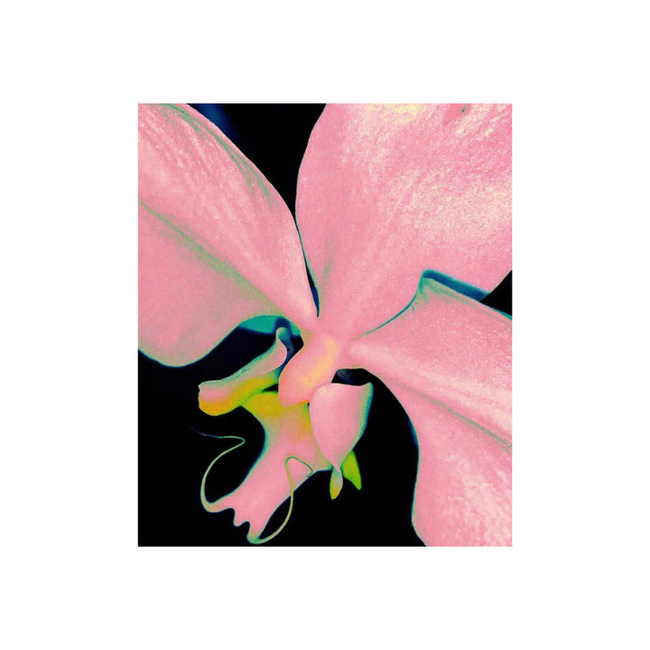 Künstlerischer Blumen-Leinwanddruck