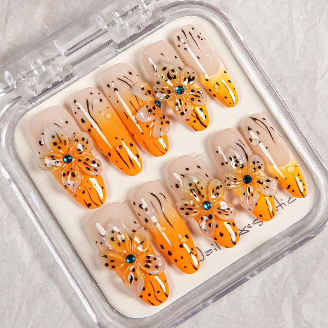 Dekoratives Ombre Nagelverzierung Set