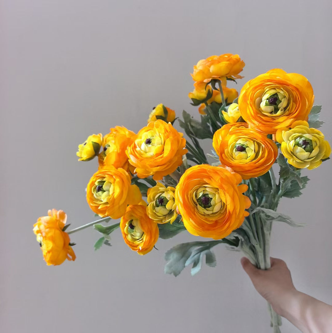 Realistische Ranunkel Blumenschaft