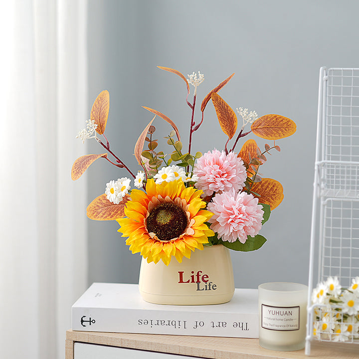 Dekorativer Topfpflanzenscheinblumen-Arrangements