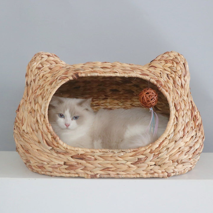 Katzenbett Karnz