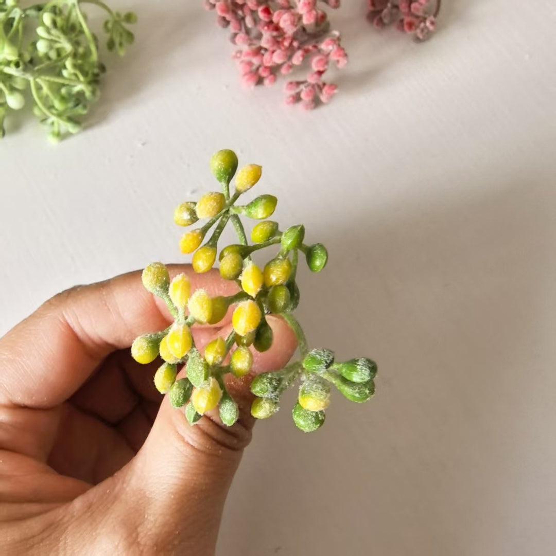 Zarte Blumenknospenstängel