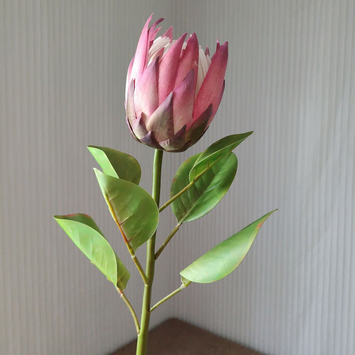 Lebensechter Protea-Blütenstiel