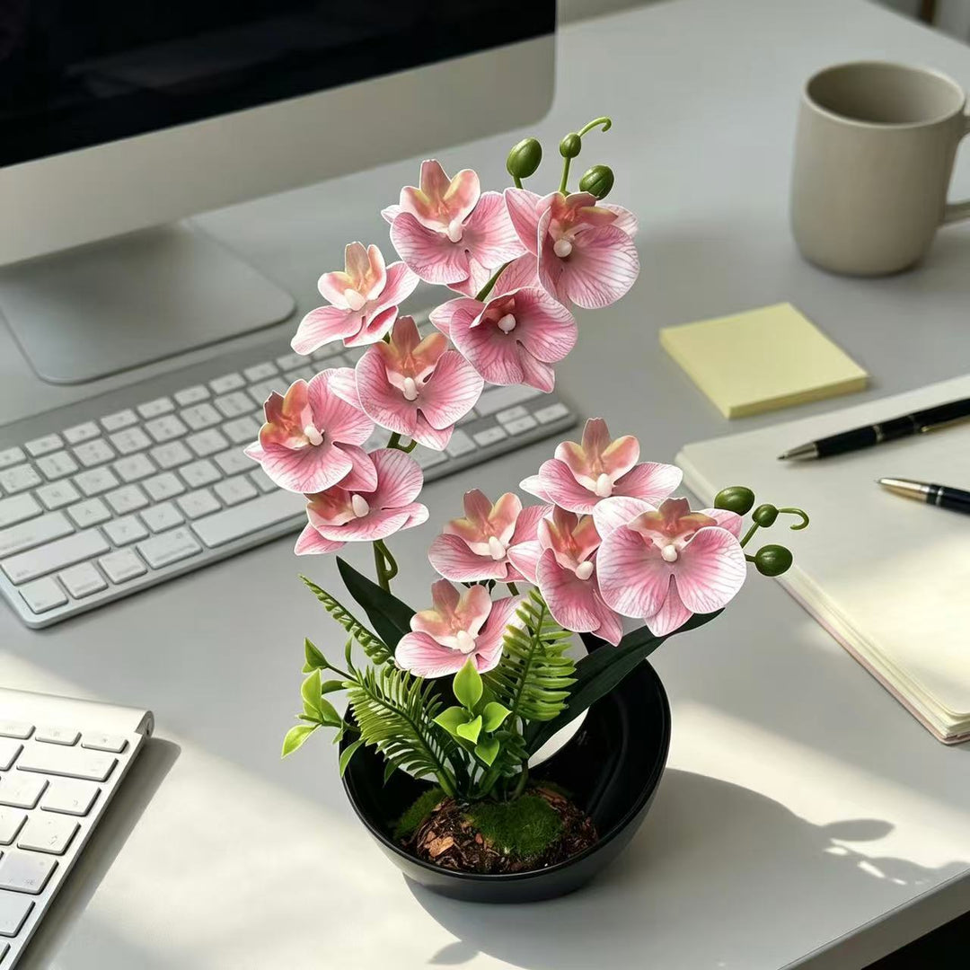 Lebensechte Orchideenblütenanzeige