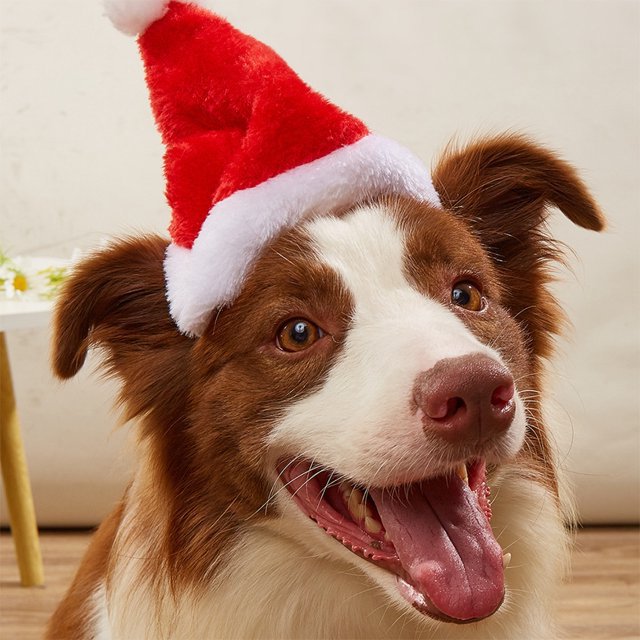 Festliche Weihnachtsmütze