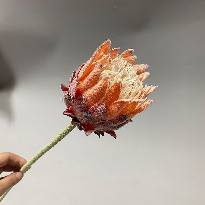 Lebensechter Protea Blumenstängel