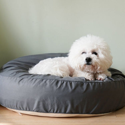 Runder Plüsch Lounger Hundebett