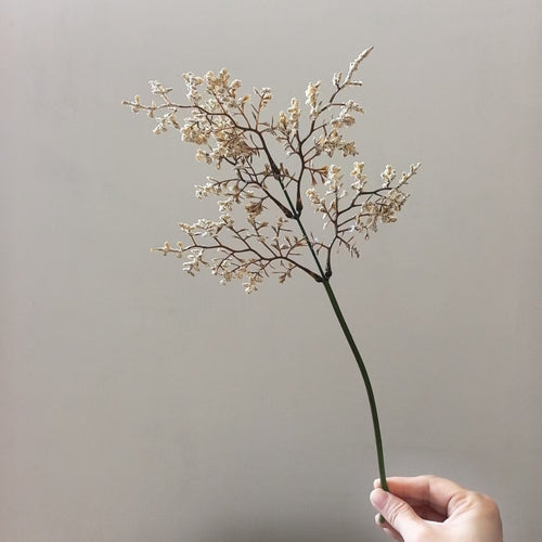 Zarte getrocknete Blumenstielanordnung