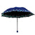 Damen Falt-Regenschirm mit detailliertem Floraldesign Karnz