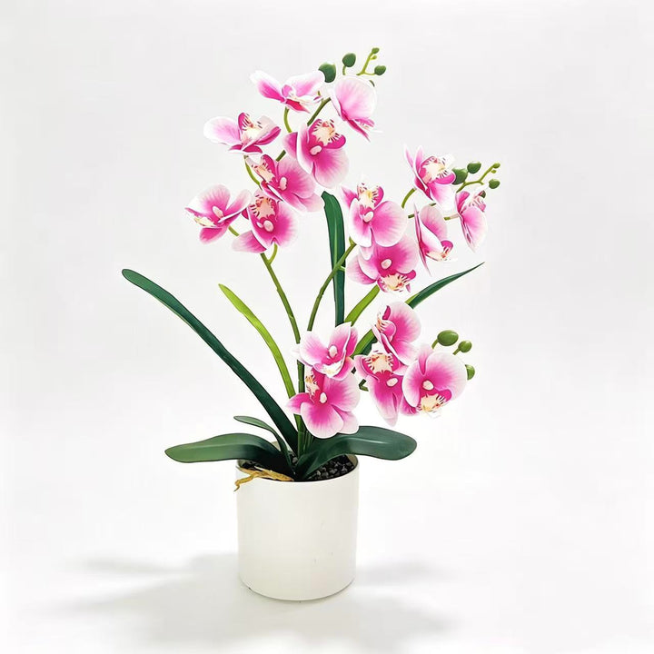 Lebensechte Künstliche Orchideen Pflanze Arrangement für Dekorative Dekoration