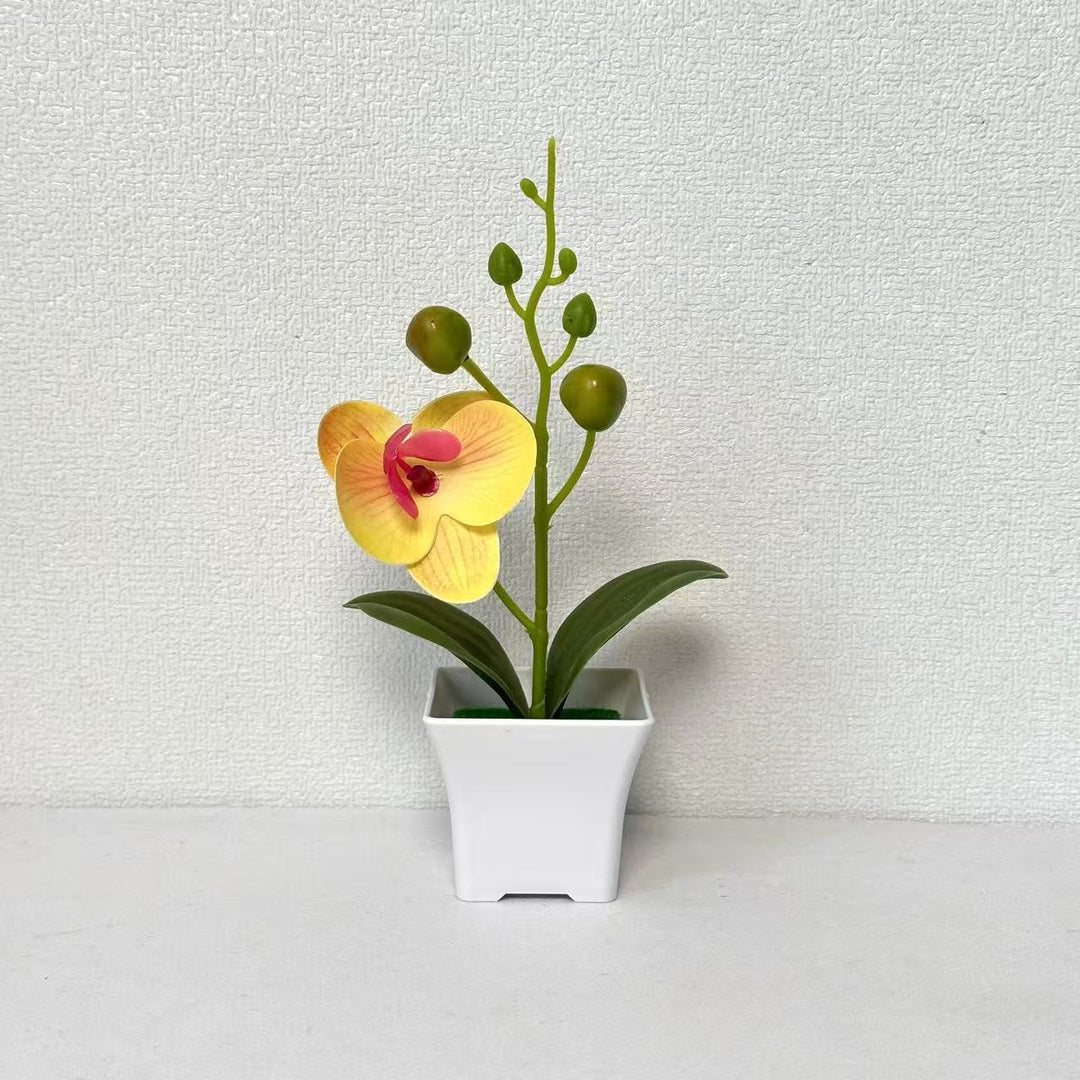 Lebensnahe Miniatur-Orchideenpflanze