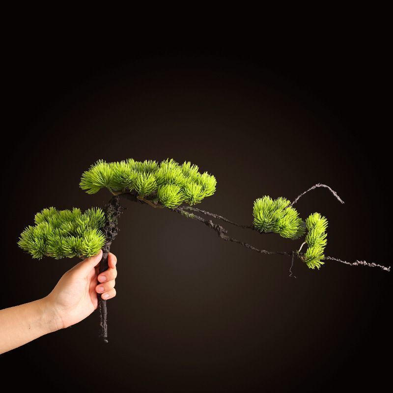 Dekorative Vase Karnz