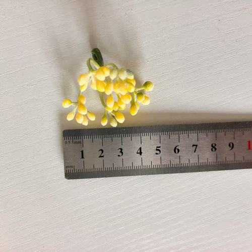 Zarte Blumenknospenstängel