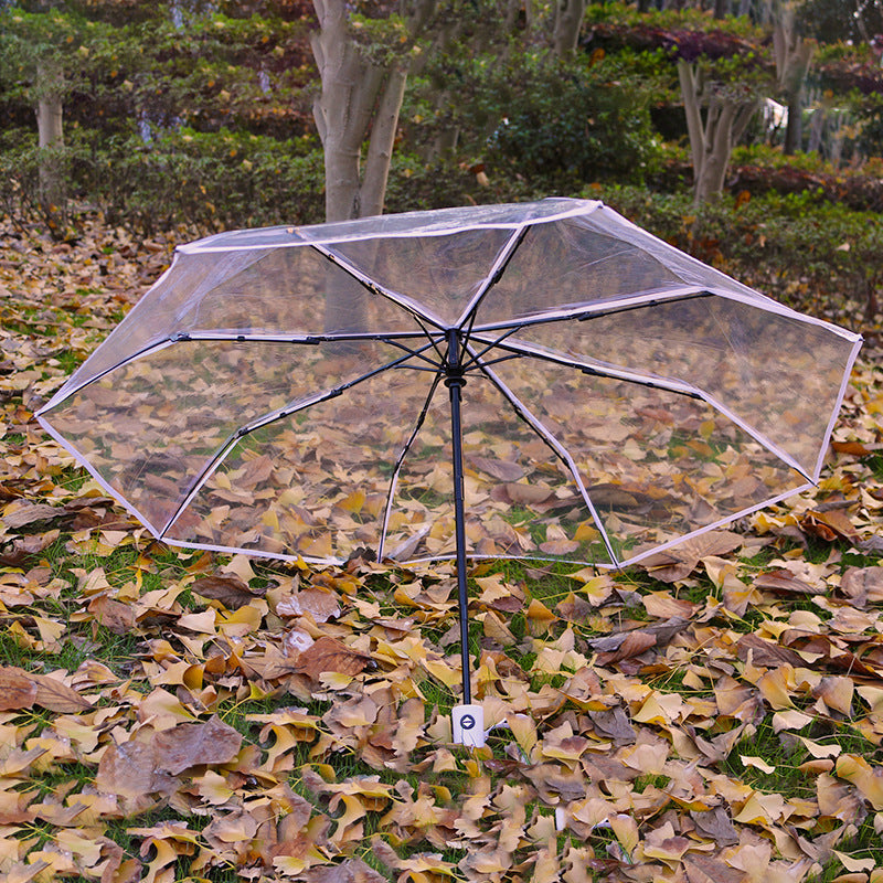 Damen durchsichtiger Regenschirm Karnz