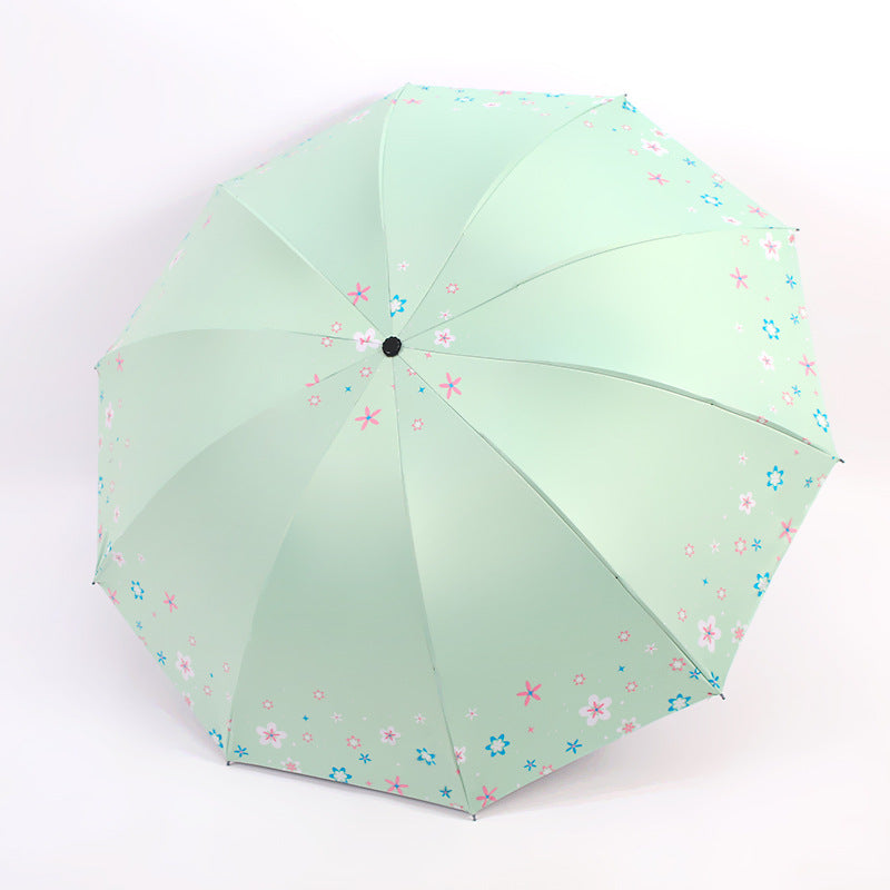 Damen Regenschirm Karnz