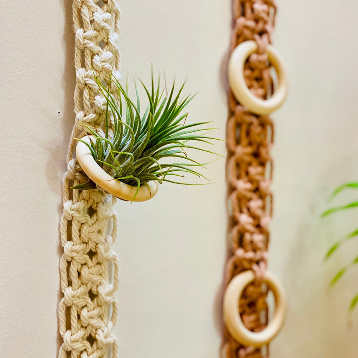 Macrame Wand Pflanzenhalter Karnz