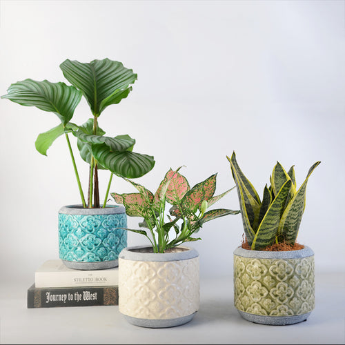 Blumentopf Karnz