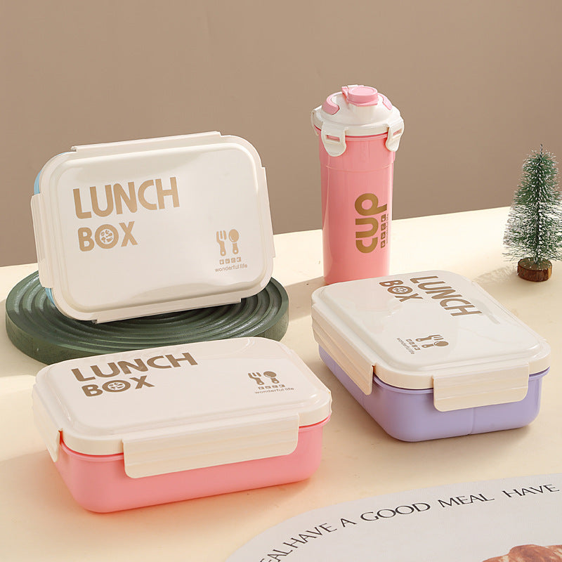 Stylische isolierte Lunchbox
