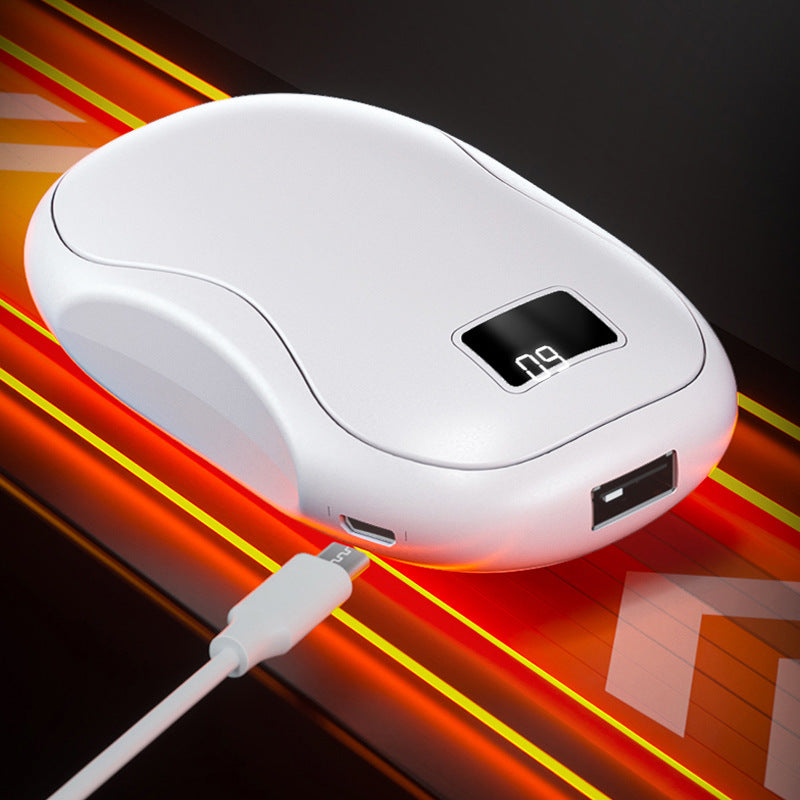 Powerbank mit Led-Display und Schnellladefunktion Karnz