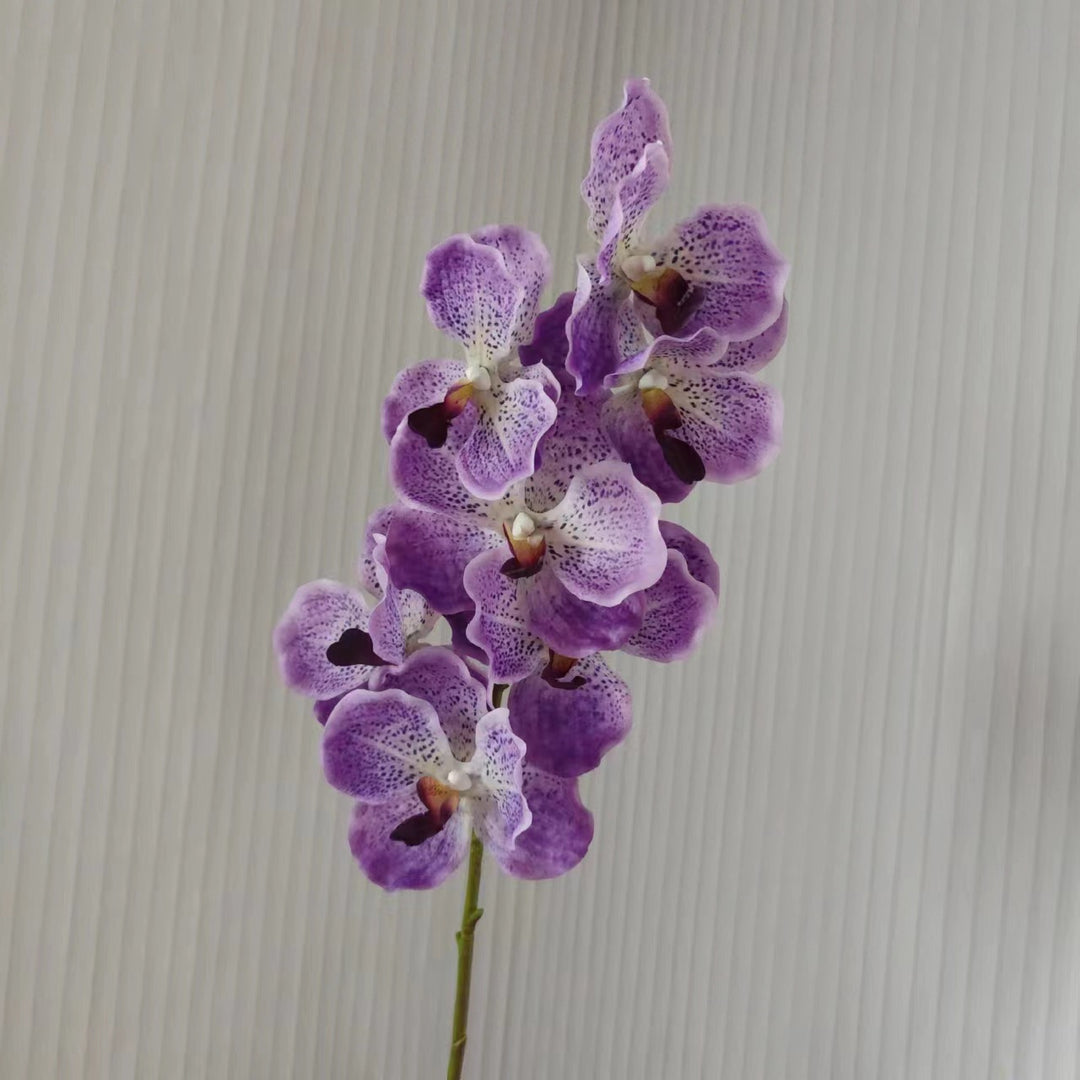 Realistische Orchideenstängel