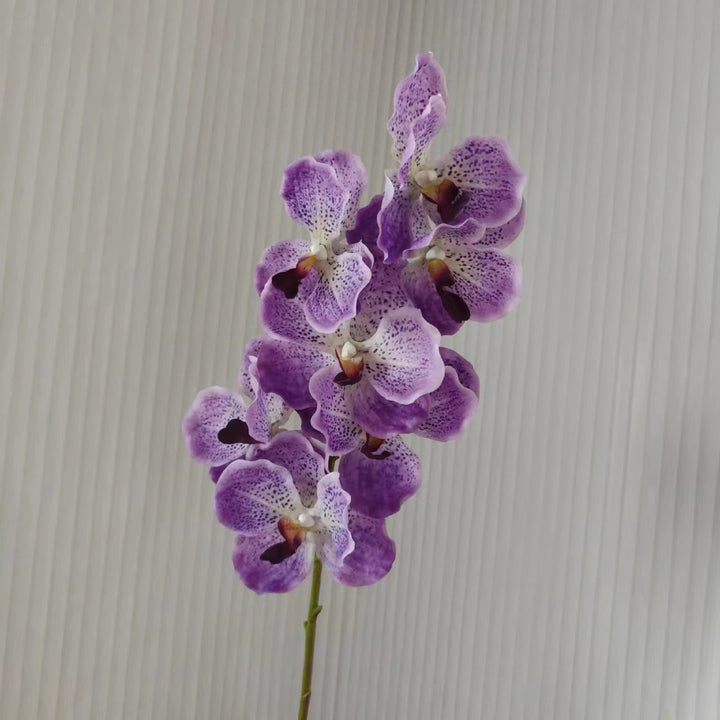 Realistische Orchideenstängel