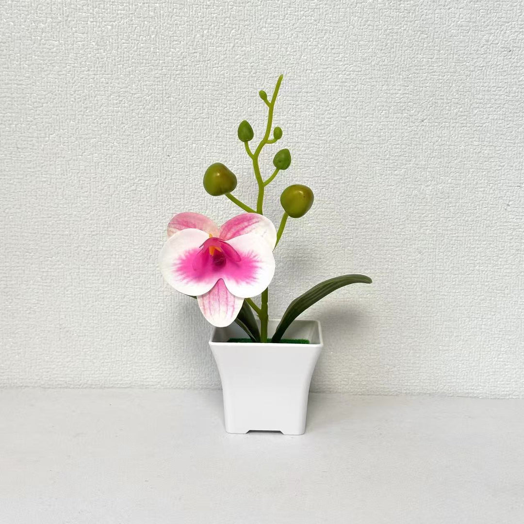 Lebensnahe Miniatur-Orchideenpflanze