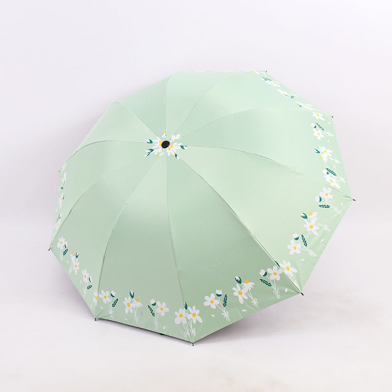 Damen Regenschirm Karnz