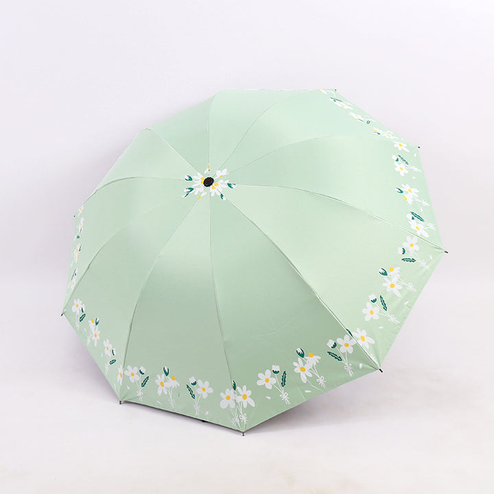 Damen Regenschirm Karnz