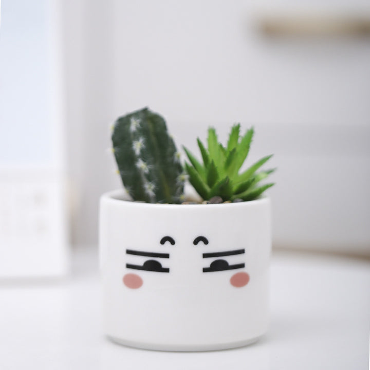 Niedlicher Tier-Themen-Sukkulenten-Planter Karnz