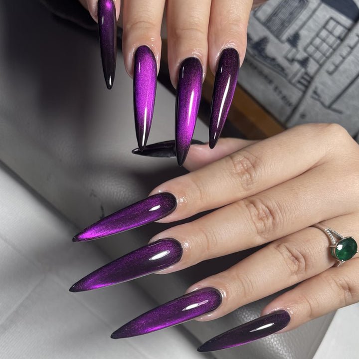 Glänzende Stiletto-Nagelverlängerungen Karnz