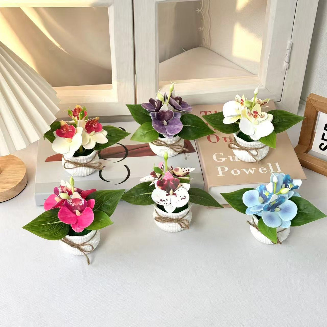 Dekorative Miniatur-Orchideen-Arrangement
