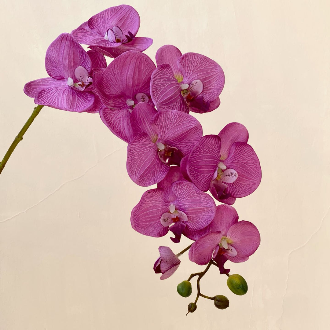 Elegante Künstliche Orchideenblütenstängel