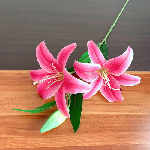 Realistische Florale Lilienstiel