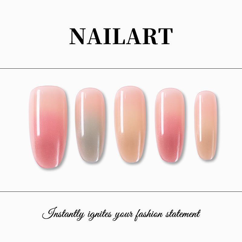Ombre Gradient Press-On Nägel Karnz