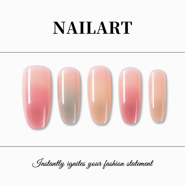 Ombre Gradient Press-On Nägel Karnz