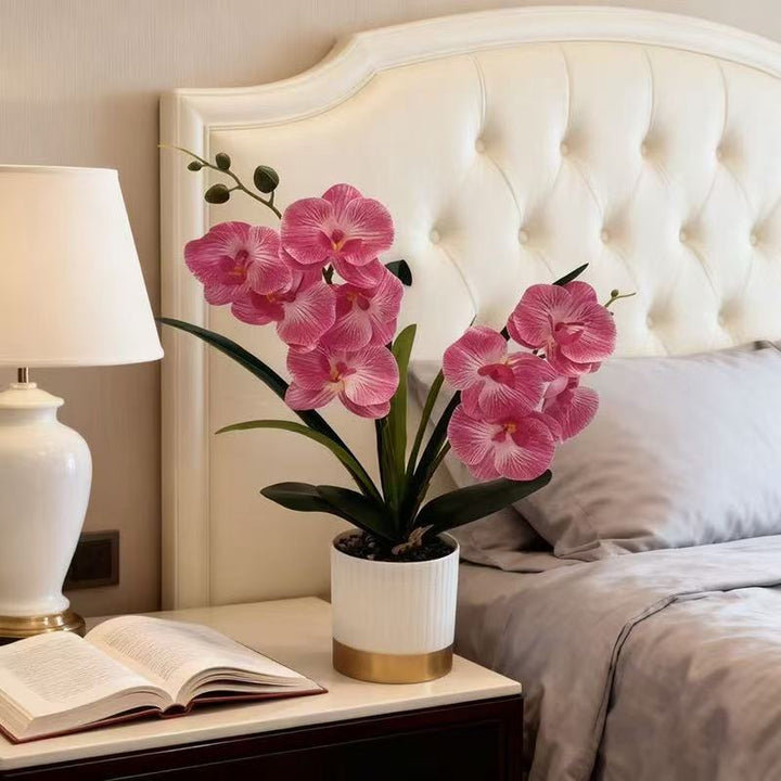 Orchideen-Blumen-Topfarrangement