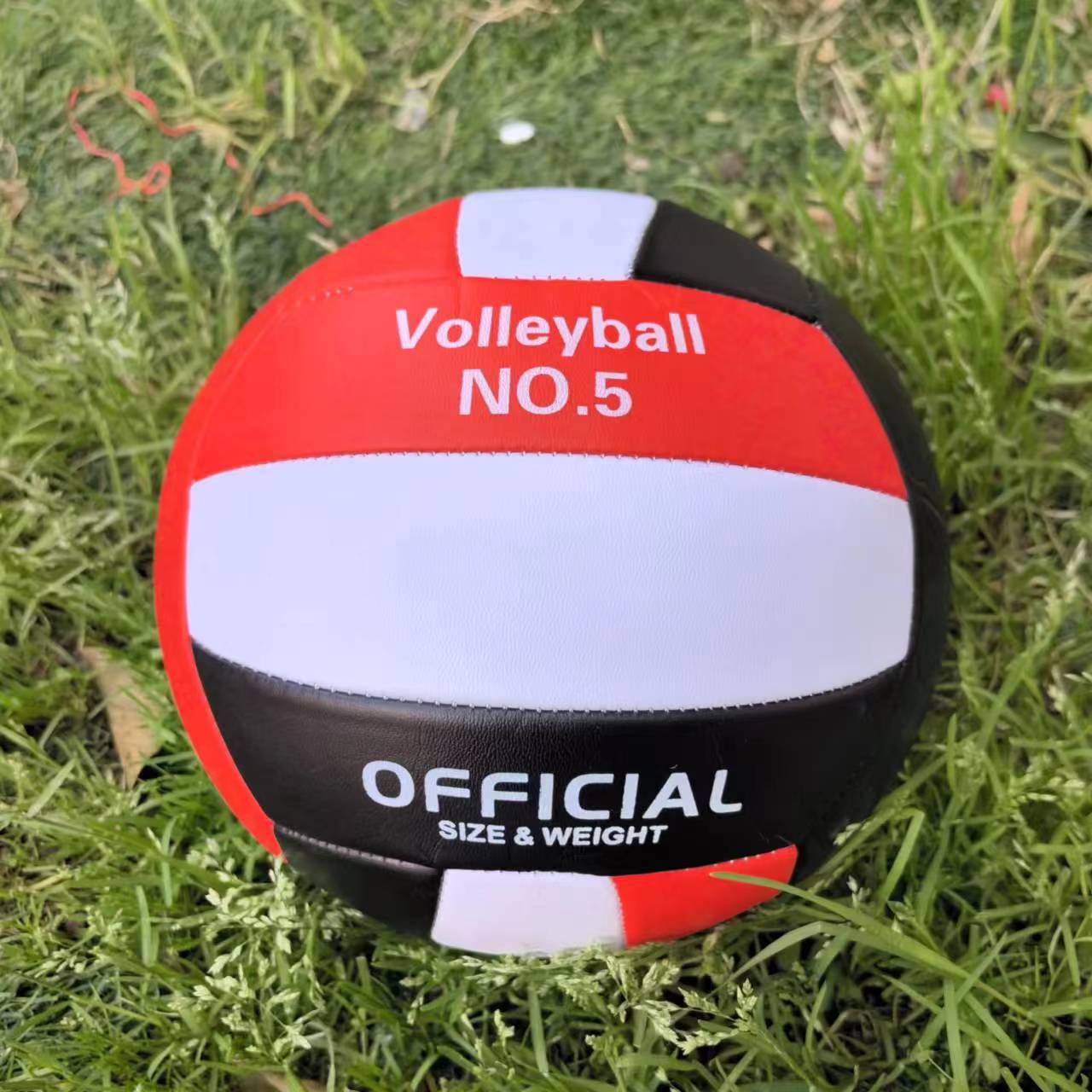 Damen Volleyball Karnz