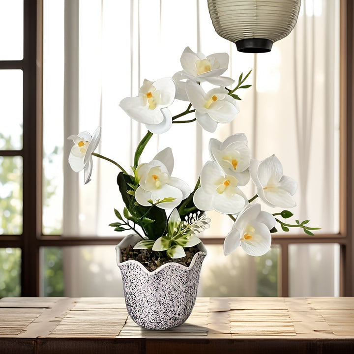 Dekorative florale Orchideenarrangement für die Wohnkultur