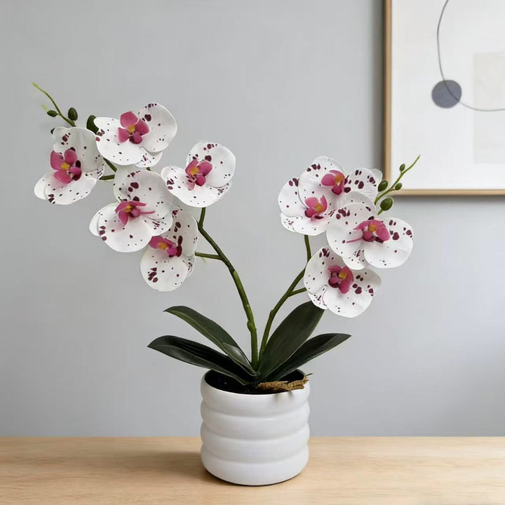 Lebensechte Orchideen Dekor
